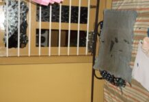 முல்லைத்தீவில் கூட்டமைப்பு வேட்பாளர் வீட்டின் மீது தாக்குதல்!