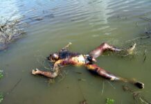 தமிழனை சுட்டுக்கொன்ற கர்நாடக வனத்துறையினர் மீதான வழக்கை சி.பி.ஐ. விசாரிக்க வேண்டும்: நாம் தமிழர் கட்சி