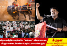 கர்நாடகத்தின் பாரம்பரிய ‘கம்பலா’ விளையாட்டை மீட்கும் கன்னடர்களின் போராட்டம் வெல்லட்டும் – சீமான் வாழ்த்து!