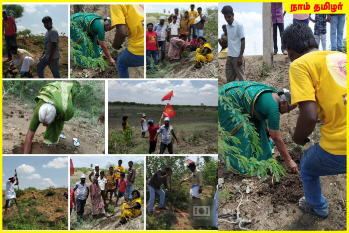 naam-tamilar-katchi-panai-kovilpatti-