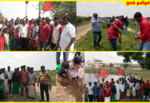 சுற்றுச்சூழல் பாசறை-பனை விதை விழா-மாதாவரம் தொகுதி