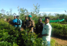 கலந்தாய்வு கூட்டம்- மரக்கன்று வழங்குதல்-கந்தவர்கோட்டை தொகுதி