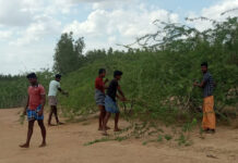 குளம் சுத்தம் செய்தல்/கருவேல மரங்கள் அகற்றும் பணி