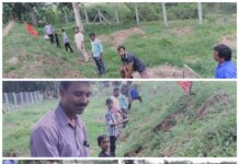 பனை விதை நடும் திருவிழா-சேந்தமங்கலம் சட்டமன்ற தொகுதி