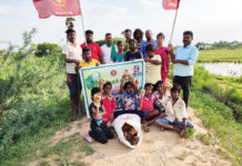 பனை விதை நடும் திருவிழா- திருவள்ளூர் சட்டமன்றத் தொகுதி