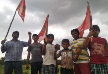 பனை விதை நடும் திருவிழா-சங்ககிரி சட்டமன்ற தொகுதி