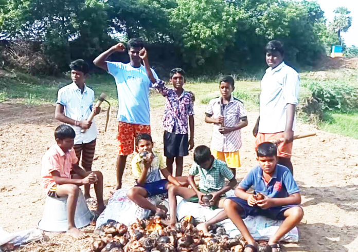 naam-tamilar-katchi-d