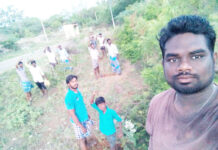 பனை விதை நடும் திருவிழா-கெங்கவல்லி தொகுதி