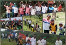 பனை விதை நடும் திருவிழா-கிணத்துக்கடவு தொகுதி