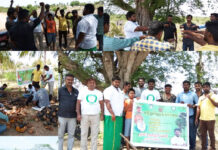 பனை விதை நடும் திருவிழா-நாமக்கல் சட்ட மன்ற தொகுதி