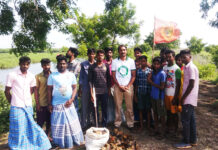 பனை விதை நடும் திருவிழா-பண்ருட்டி சட்டமன்ற தொகுதி