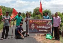 பனை விதை நடும் திருவிழா-பவானிசாகர் சட்மன்ற தொகுதி