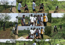 பனை விதை திருவிழா-நாமக்கல் சட்டமன்ற தொகுதி