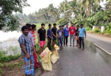 பனை விதை நடும் திருவிழா -பத்மநாபபுரம் சட்டமன்ற தொகுதி