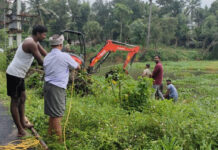 பனை விதை நடும் நிகழ்வு-தூர்வாரும் பணி- பத்மநாபபுரம் தொகுதி