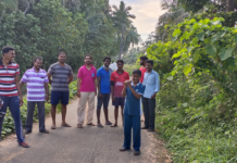 பனைவிதை நடும் திருவிழா: பத்மநாபபுரம் சட்டமன்ற தொகுதி