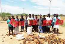 பனை விதைகள் நடும் திருவிழா- சங்கரன்கோவில்