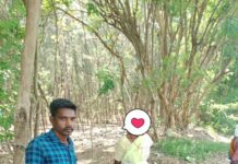 ஊரடங்கு உத்தரவால் உணவின்றி தவித்த மக்களுக்கு உணவு வழங்கல் – உளுந்தூர்பேட்டை சட்டமன்றத் தொகுதி