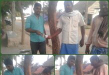 கபசுர குடிநீர் வழங்குதல்.பர்கூர் தொகுதி