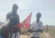பனை விதைகள் நடும் நிகழ்வு -உளுந்தூர்பேட்டை தொகுதி