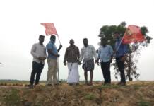 பொன்னேரி தொகுதி -பனை விதை நடும் விழா