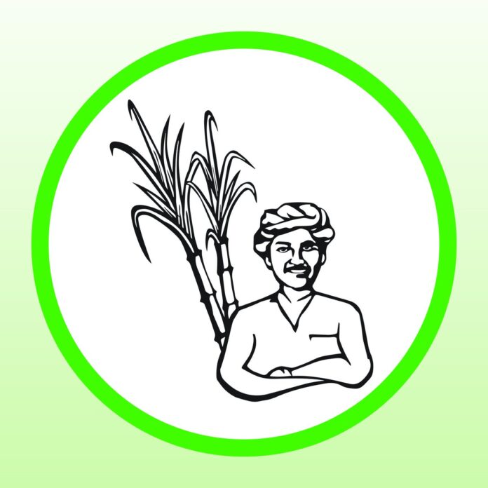 நாம் தமிழர் கட்சியின் வேட்பாளர்களை ஆதரித்து 21-03-2021 இன்று மாலை பரப்புரை மேற்கொள்ளவிருக்கும் இடங்கள்:-
05.30 பெரியகுளம்
06.30 நிலக்கோட்டை (வத்தலக்குண்டு)
07.30 சோழவந்தான் (வாடிப்பட்டி)
08.30 மதுரை (பழங்காநத்தம்) பொதுக்கூட்டம்
#வெல்லப்போறான்விவசாயி
#NTK4Tamilnadu #Vote4Change