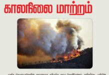 காலநிலை மாற்றம் காரணமாக உலகளவில் ஏற்பட்டுள்ள அவசர நிலையை உடனடியாக…