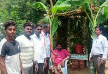 சோளிங்கர் தொகுதி – தண்ணீர் பந்தல் அமைத்தல்