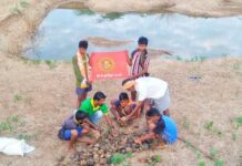 திருமங்கலம் தொகுதி வேளாண் விஞ்ஞானி நம்மாழ்வார் நினைவாக பனை விதை நடவு