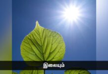 இலையும் கல்லும்! – பகுதி 1 https://x.com/SeemanOfficial/status/1612970169101418497/video/1