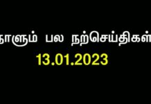 இலையும் கல்லும்! – பகுதி 3 https://x.com/SeemanOfficial/status/1613694944841023491/video/1