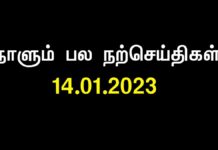 தலைக்கனம் அற்ற மனிதர்கள்தான் சருகுபோல் சலனமற்று இருக்க முடியும். எந்த…
