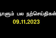 வாழ்வில் தோல்விகள் அதிகம். வெற்றி குறைவு என வருந்தாதீர்கள். செடியில்…