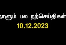 எறும்புகள்: ஆறு கால் மனிதர்கள் – பகுதி 2 |…