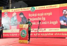 இயற்கை வேளான் பேரறிஞர் நம் பெரியதகப்பன் நம்மாழ்வார் அவர்களின் 11ஆம்…