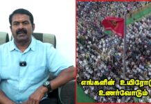எங்களின் உயிரோடும், உணர்வோடும் கலந்து வாழுகின்ற அன்பு உறவுகள் அனைவருக்கும்…