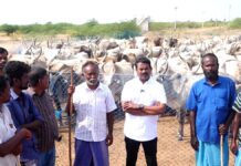 எங்களின் உயிரோடும் உணர்வோடும் கலந்து வாழ்கின்ற அன்பு உறவுகள் அனைவருக்கும்…