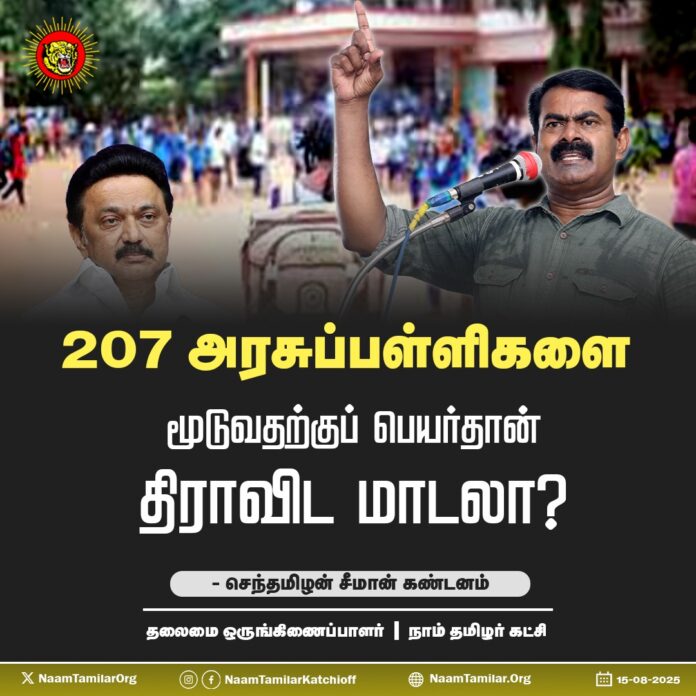 WhatsApp Image 2025-08-15 at 16.05.52