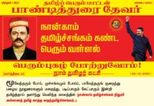 மூவேந்தரும் போய், முச்சங்கமும் போய்ப், பாவேந்தருங் குறைந்துபழைய நூலுரைகளும் மறைந்து,…