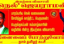 பாரம்பரிய நெல் வகைகளைச் சேமித்துக் காத்திட்ட பெருமகன்! பெருந்தகப்பன் நம்மாழ்வாரின்…